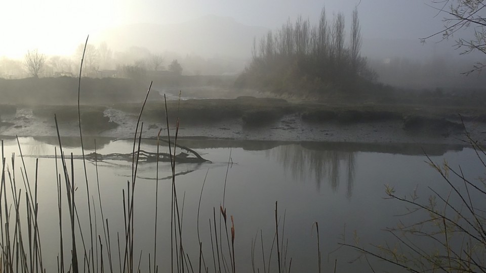 Foto: Mireia Berenguer