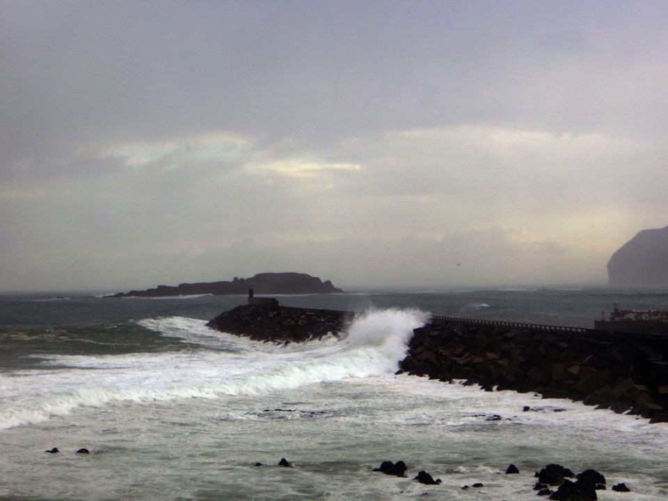 Bermeo: Photo: Gonzalo Elorza