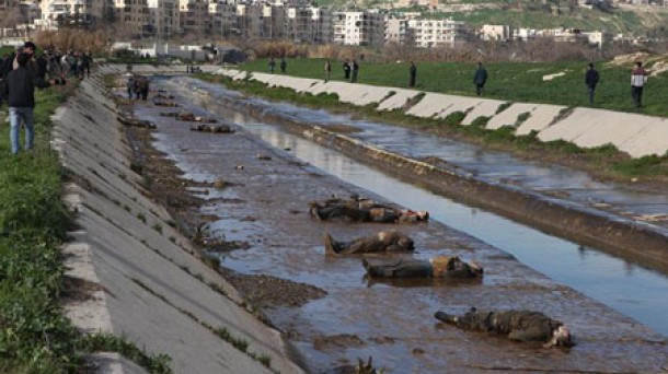 Hallan 80 cadáveres en el río de la ciudad siria de Alepo