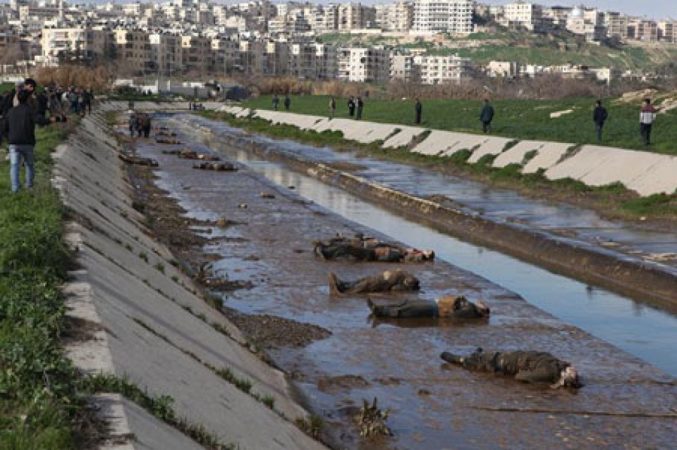 Hallan 80 cadáveres en el río de la ciudad siria de Alepo