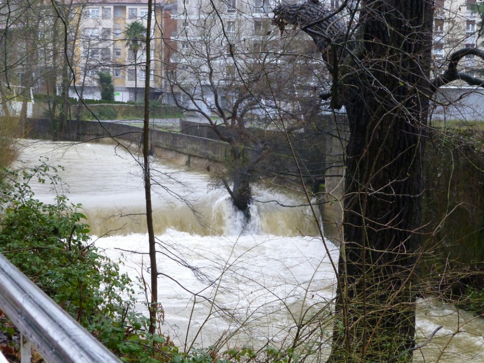 Durango. Foto: Ines Asteka