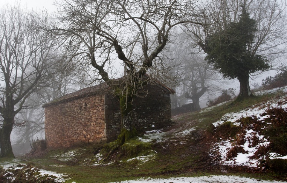 Elizondo. Photo: Juan Lameirinhas