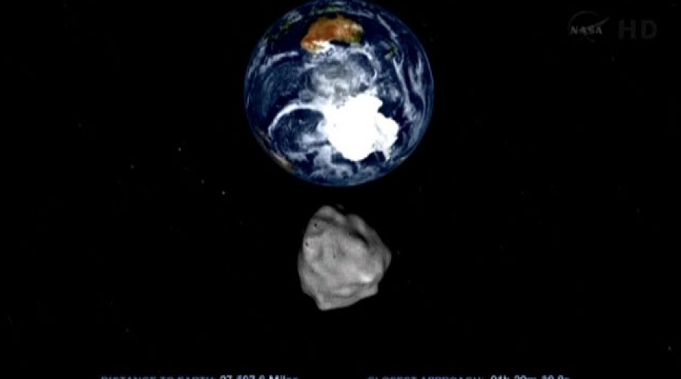 DA14 asteroidea