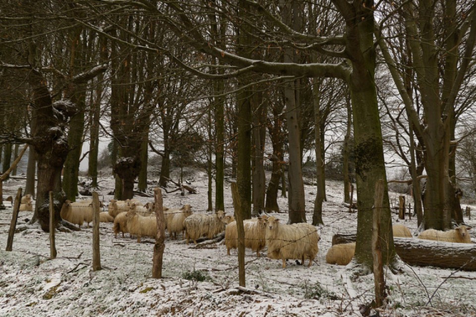 Photo: Lurdes Montoya 