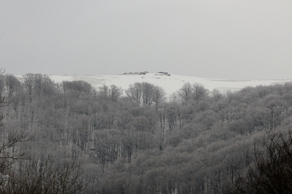 Photo: Josetxo Apezteguia