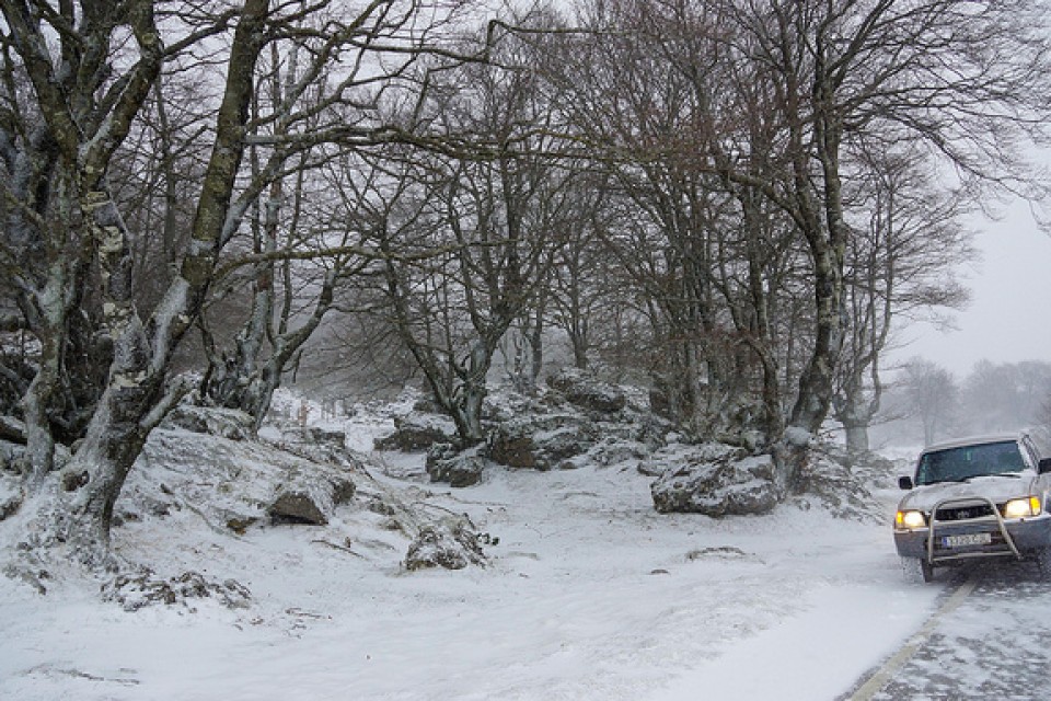 Photo: Armando Aizkorbe