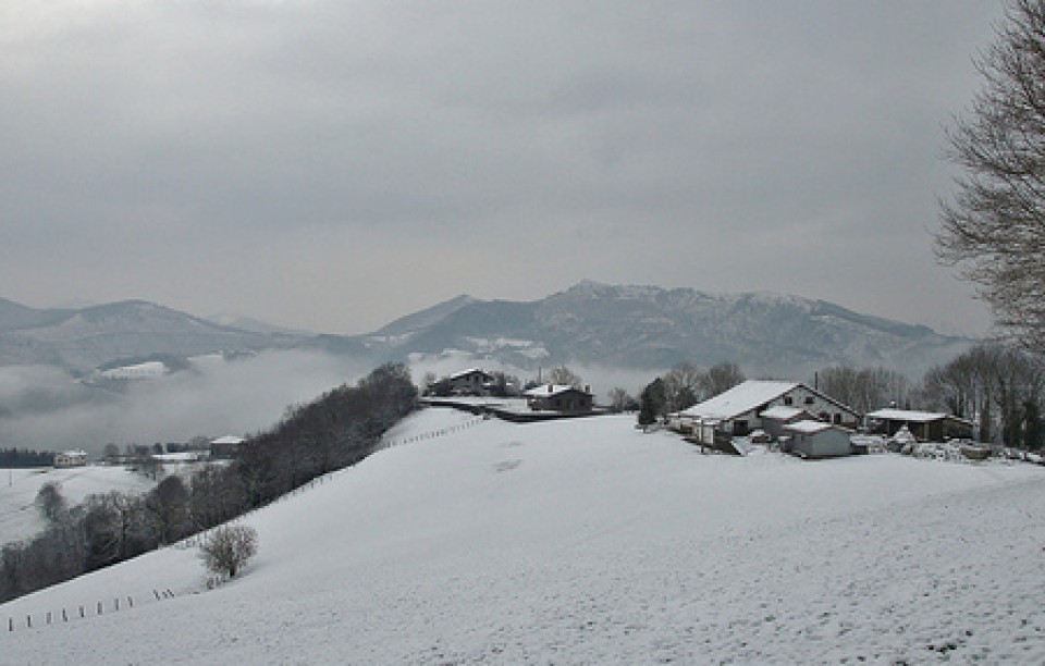 Argazkia: Josetxo Apeztegia