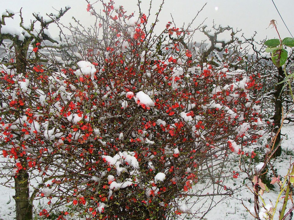 Photo: Mariaje Ayesta