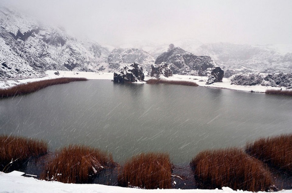 Photo: Gonzalo Elorza