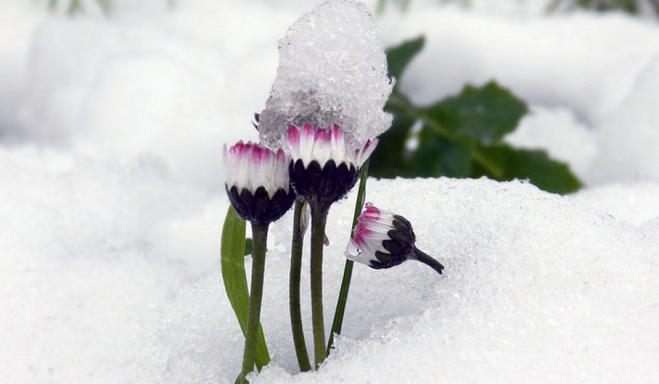 Photo: Irune Elicegui