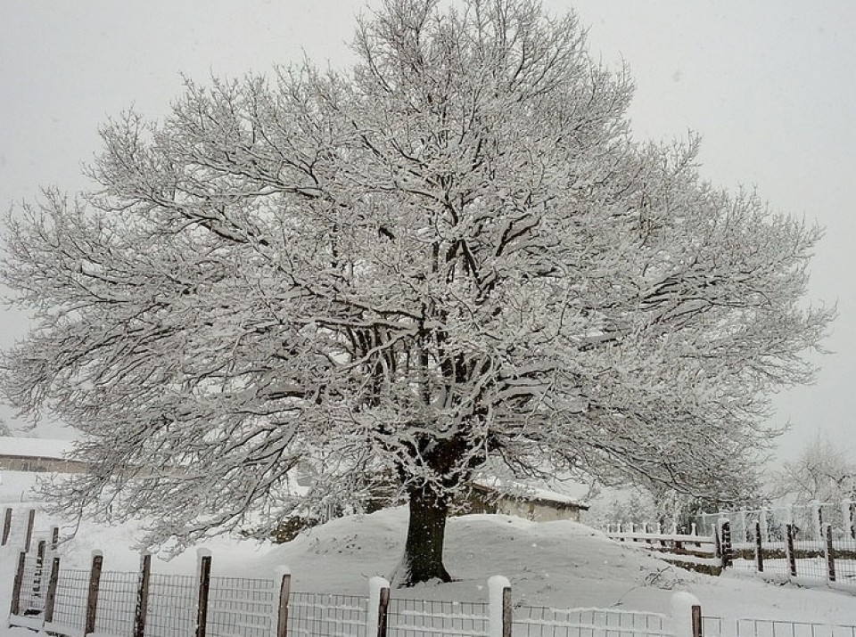 Photo: Juanan Navarro