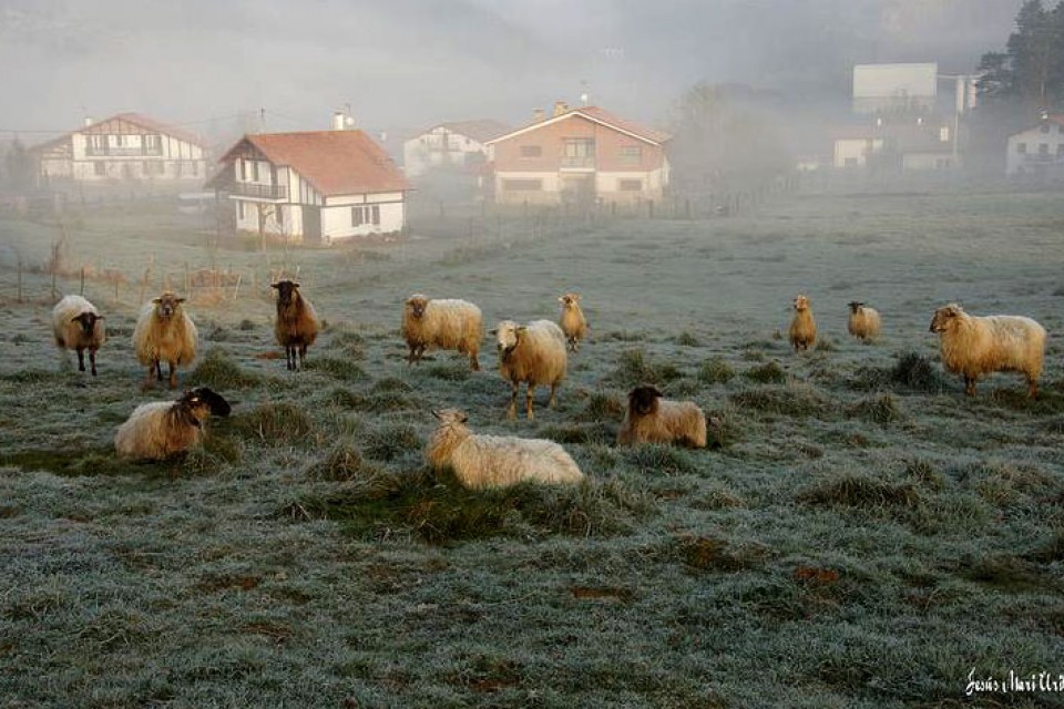 Foto: Jesus Mari Uribe