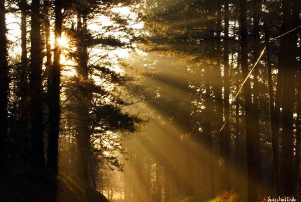 Foto: Jesus Mari Uribe