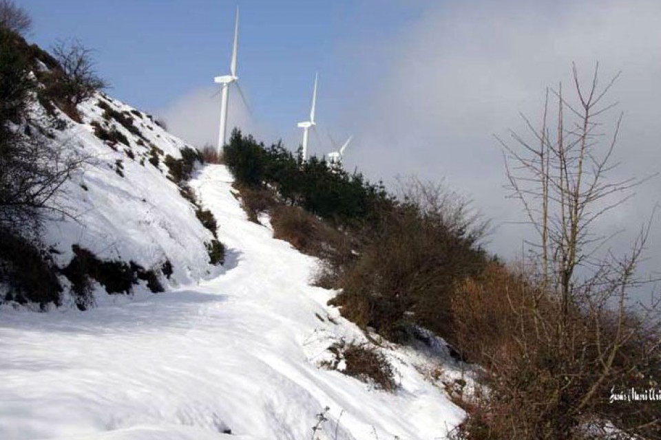 Foto: Jesus Mari Uribe