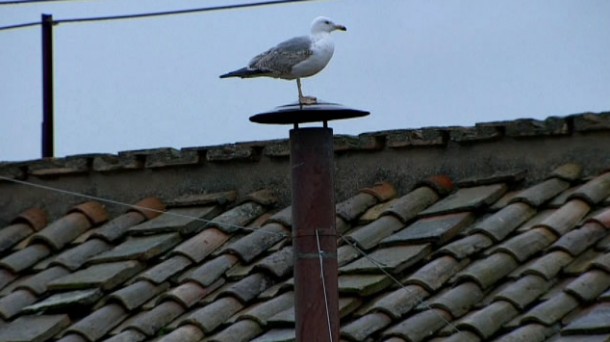 Iñaki Kanpion eta Fede Ileaña                                         