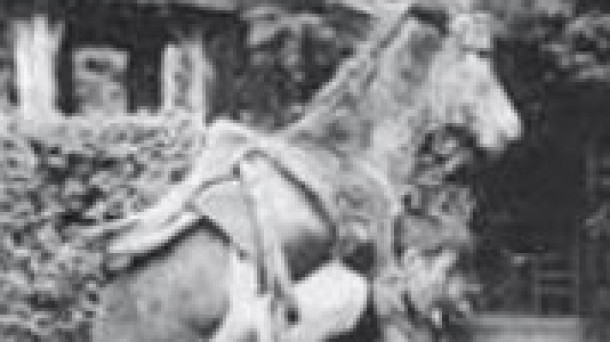 La abolición del trabajo 