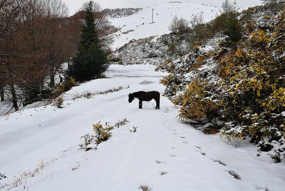 Foto: Lesaka. Isidro Etxeberria