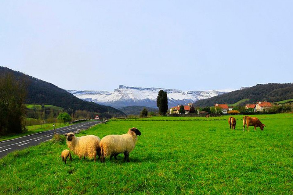 Foto: Ayala. Inocencio Goikuria.