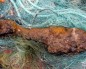 Fishermen seize 40-kg mortar bomb in Bermeo