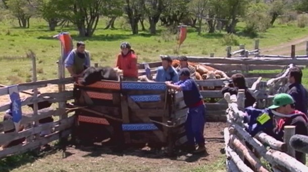 El rodeo patagónico, en el episodio 14 de 'El Conquis'