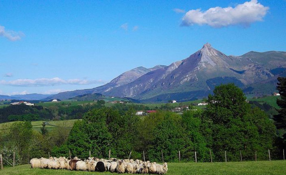 Foto: Lazkao. Lázaro González.