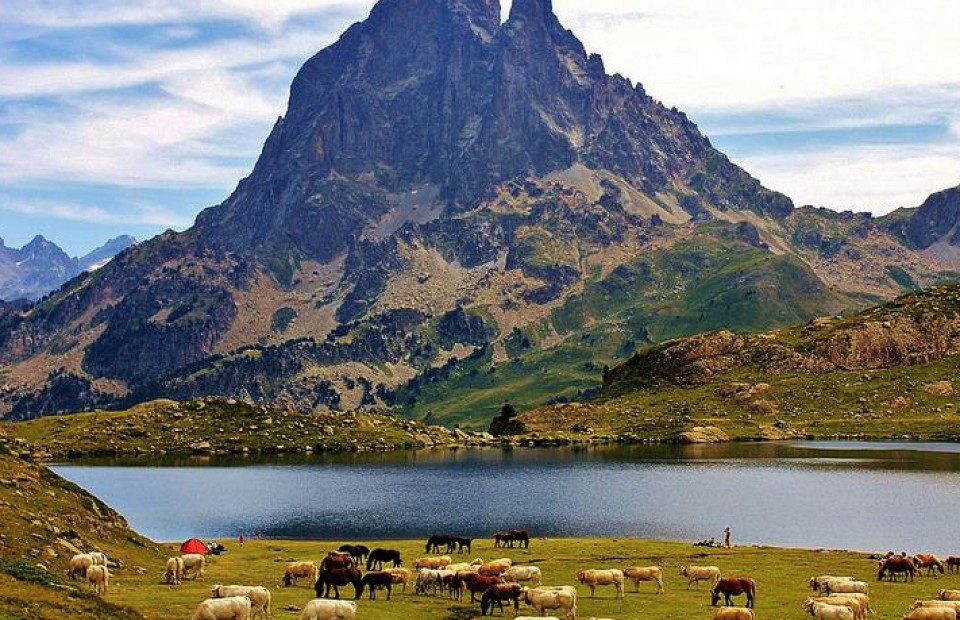 Foto: Vicente Guinea