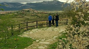 La Barbacana, estanque celtibérico