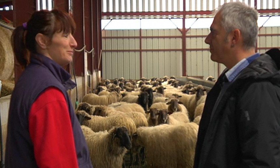 Arditegian. Argazkia: EITB.