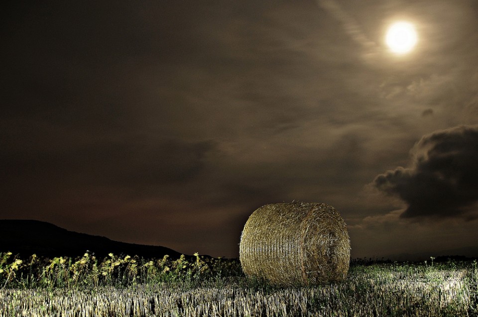 San Cristobal de Almendres. Argazkia: Urtzi