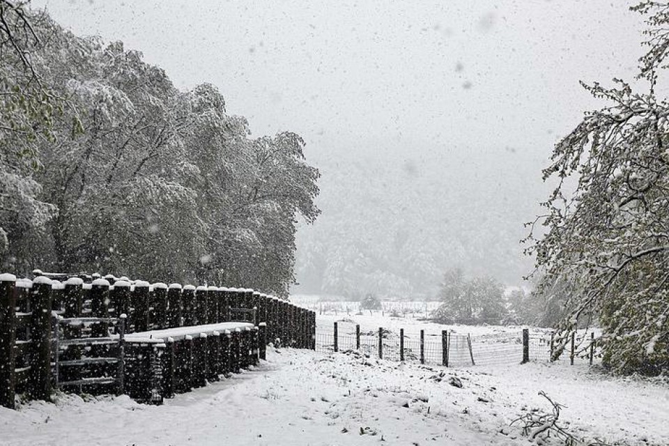 Foto: Baztan. Josetxo Apezteguia.