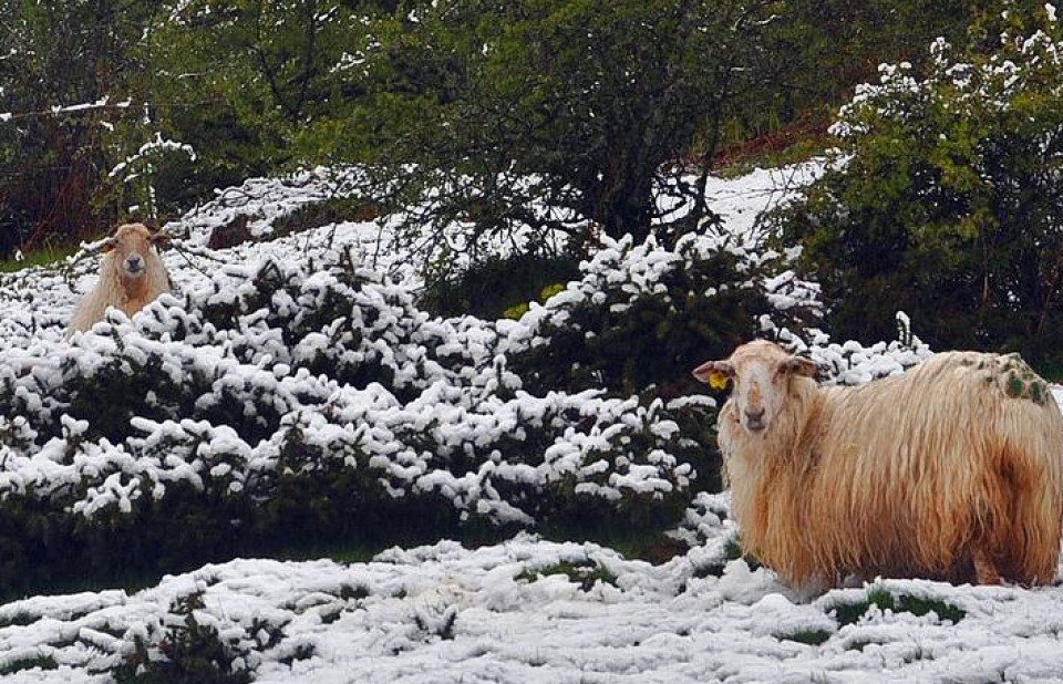 Foto: Larraun. Txomin Rezola.