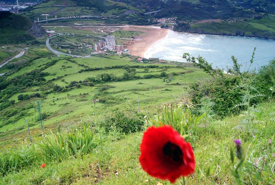 Foto: Zierbena. Alberto Zorrilla.