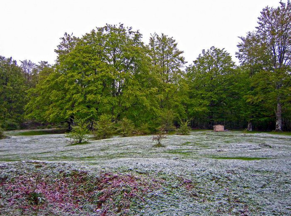 Foto: Ziordia. Javier Legaz.