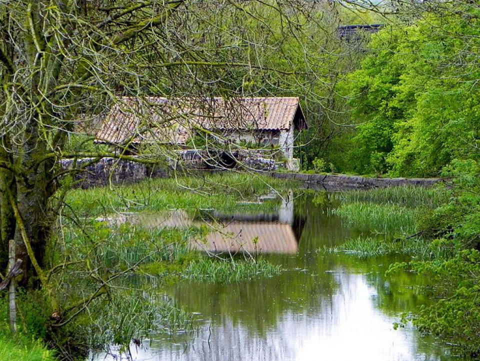 Foto: Zuia. Iñaki Arteta.