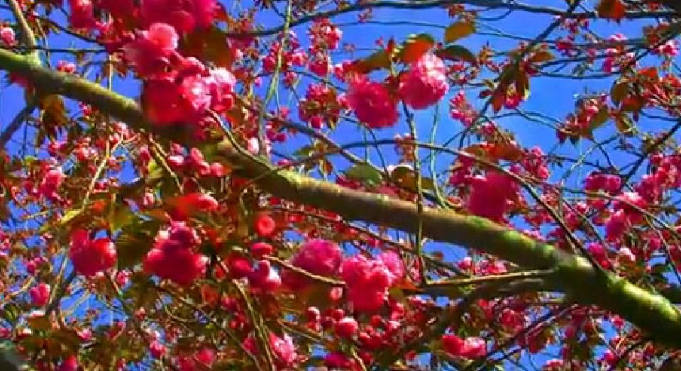 Aia. Argazkia: Lorentxo Portularrume