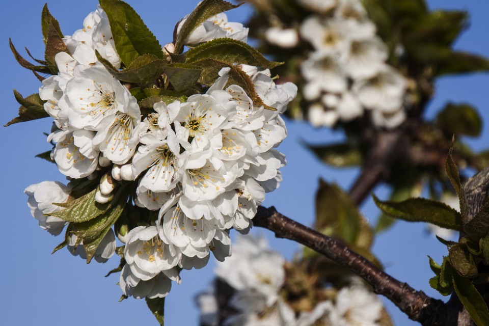 Arrasate. Argazkia: Juan Luis Elizaran