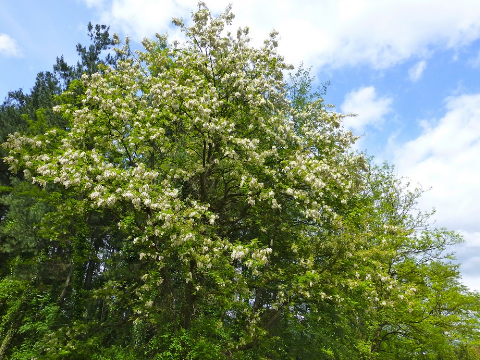 Durango. Argazkia: Victor Uriarte