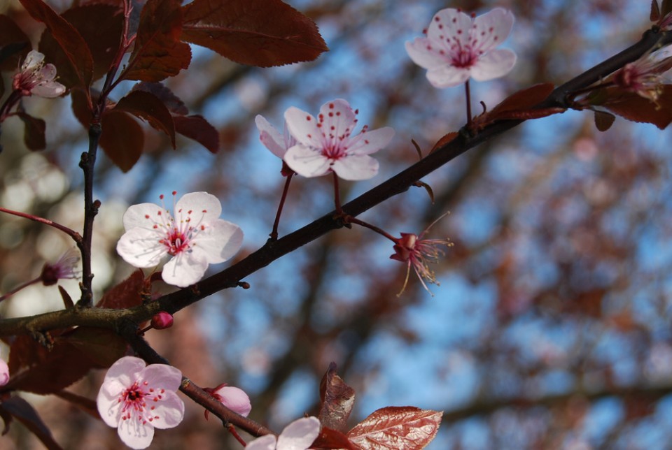 Portugalete.Argazkia: Gonzalo Elorza