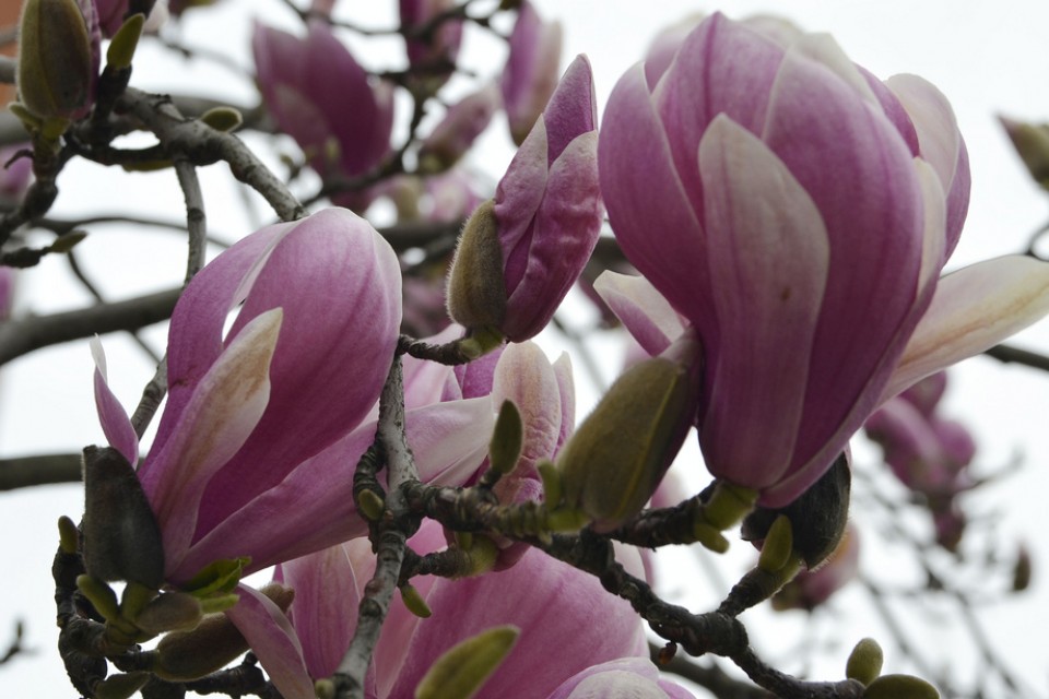 Sestao. Argazkia: Gonzalo Elorza
