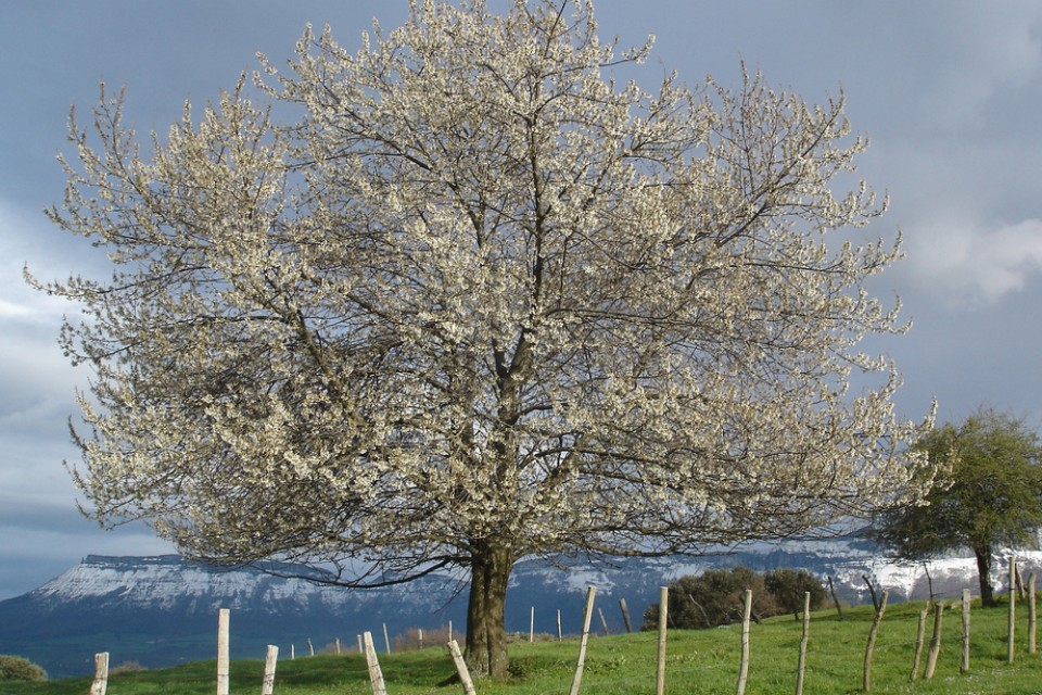 Mena. Argazkia: Susana Martinez