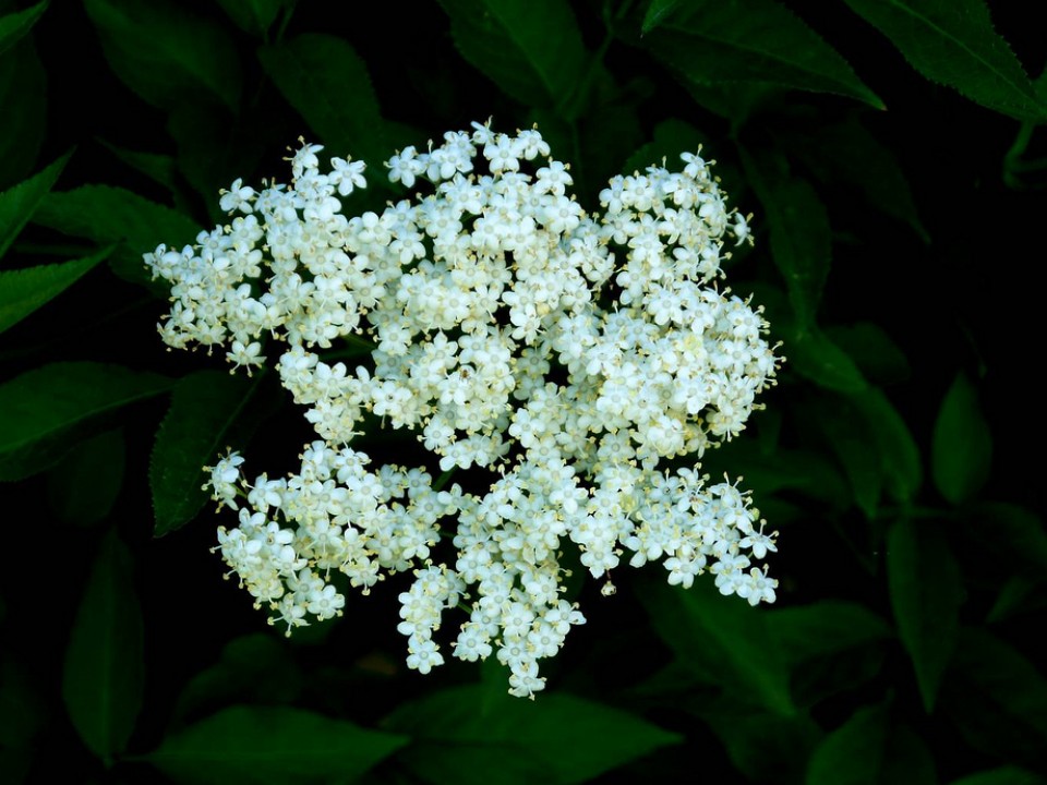 Muskiz. Argazkia: Jesus Lejarza Basauri