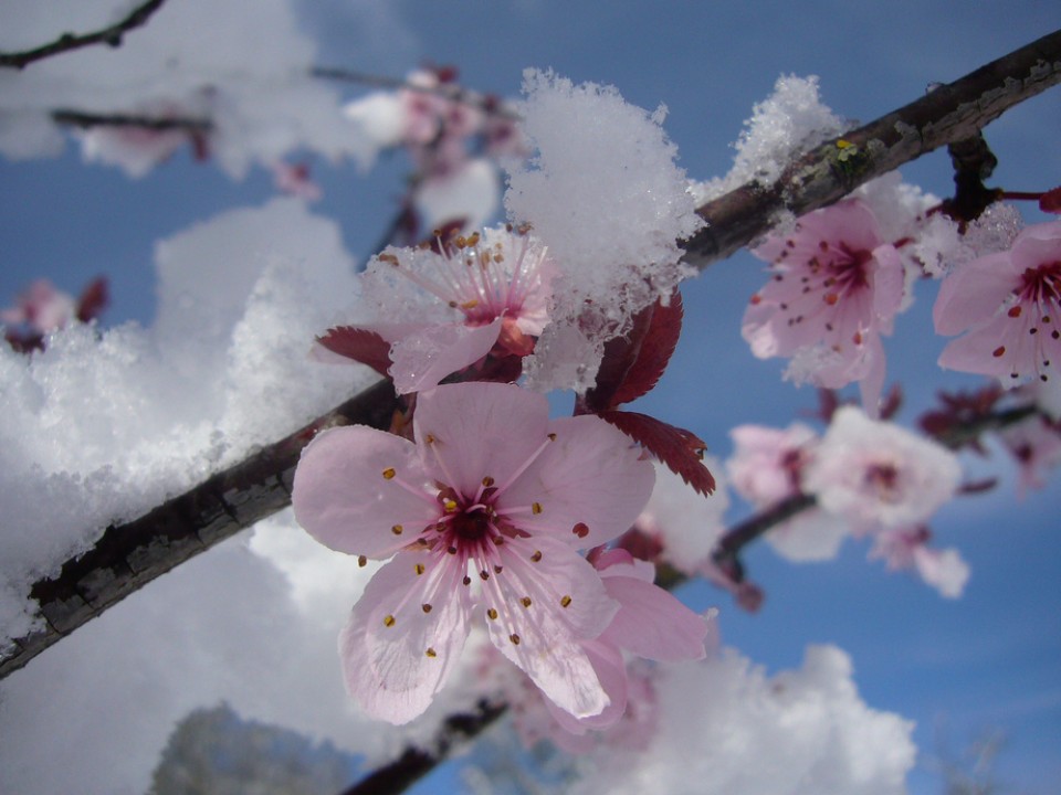 Getxo. Argazkia: Zuria Alonso