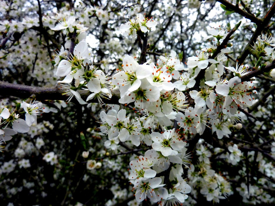 Urkiola. Argazkia: Marian Angoitia Goioaga