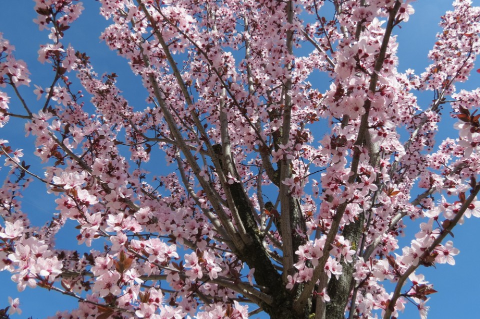 Otxagabia. Argazkia: Vanessa Gonzalo