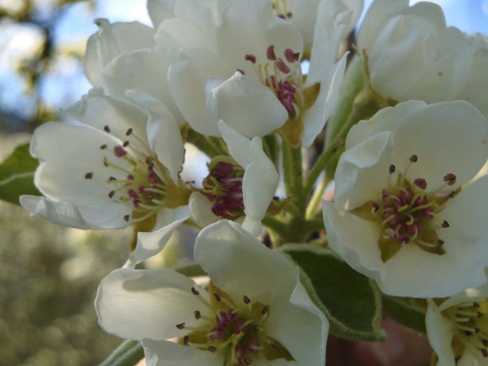 Bergara. Argazkia: Juan Mari Errasti