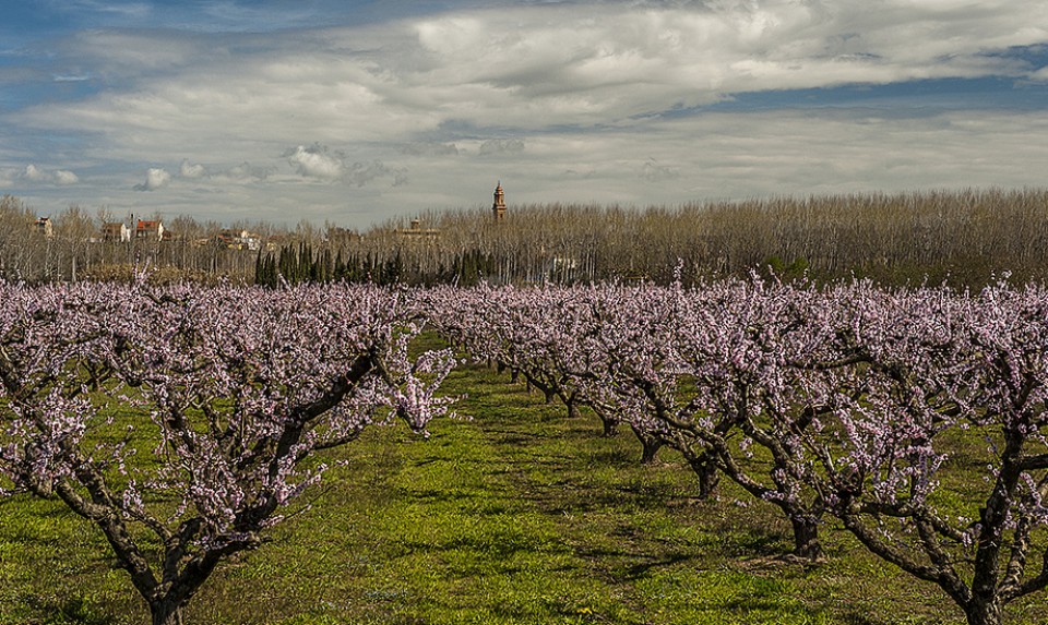 San Adrian. Argazkia: Carlos Mediavilla Arandigoyen