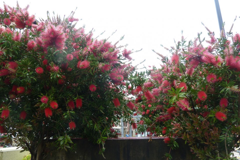 Argazkia: Mikel Otxoa