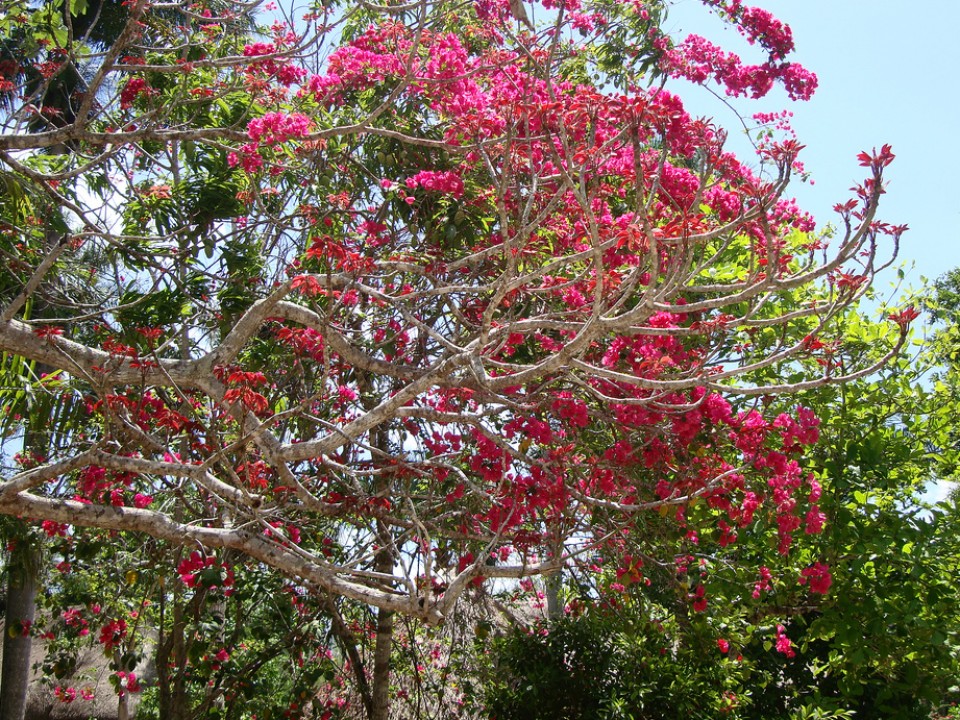 Mexiko. Argazkia: Ana Miranda Collado