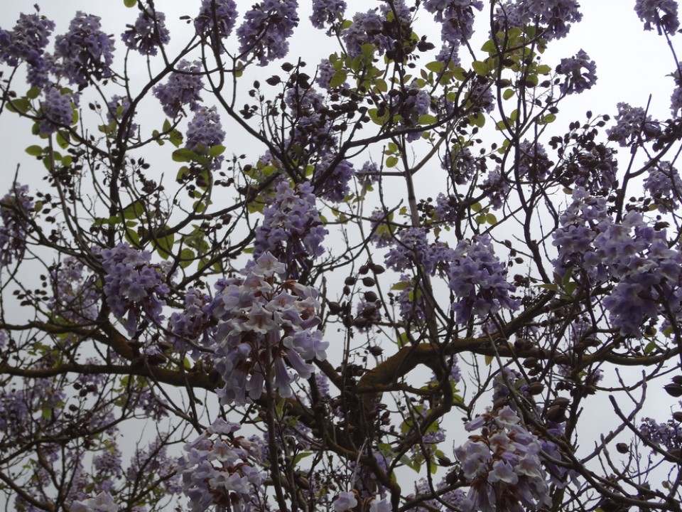 Gasteiz. Argazkia: Montxo Lopez de Ipiña