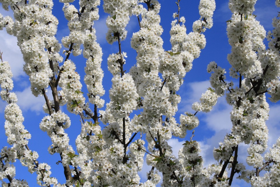 Bergara. Argazkia: Juan Mari Errasti